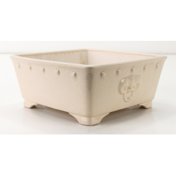 Bonsai pot FCH014 ZHANG ZHICHENG