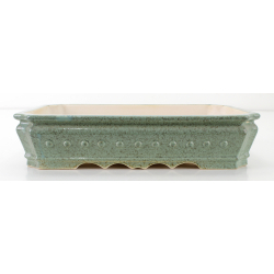 Bonsai pot FCH001 ZHANG ZHICHENG