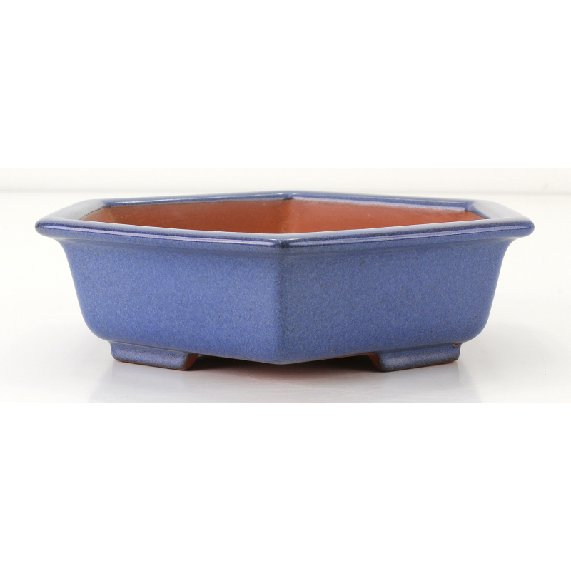 Bonsai pot FCH017 ZHANG ZHICHENG