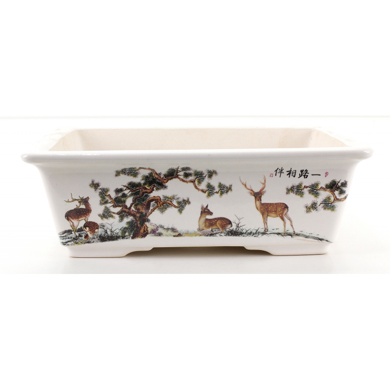 Bonsai pot FCH019 ZHANG ZHICHENG