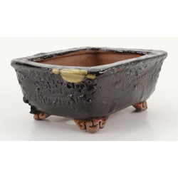 Bonsai pot JTA8521 RANZAN view 2