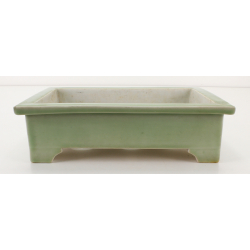 Bonsai pot JTA8540 OWARI