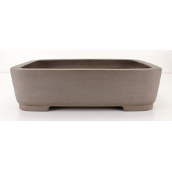 Bonsai pot JTA8529 SEIZAN MAKOTO