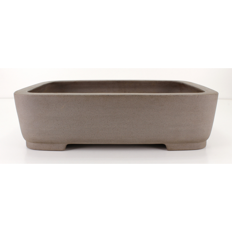 Bonsai pot JTA8529 SEIZAN MAKOTO