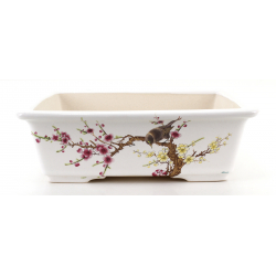 Bonsai pot FCH086 ZHANG ZHICHENG