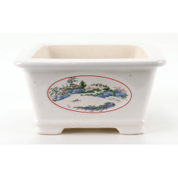 Bonsai pot FCH085 ZHANG ZHICHENG view 3